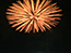 image04