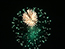 image04